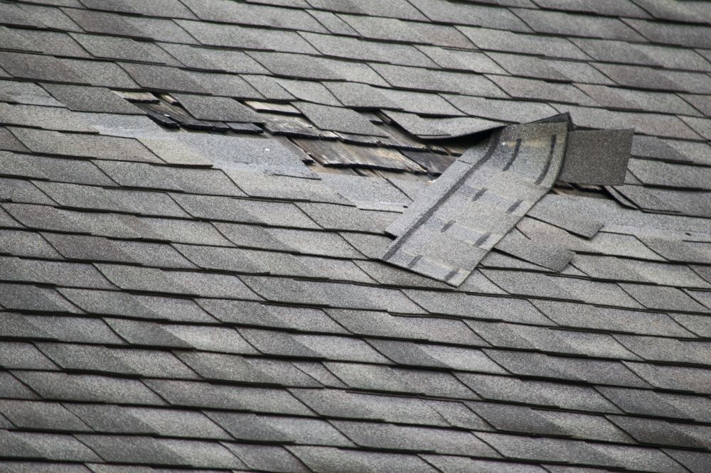 Asphalt Shingle Roof Leak Detection